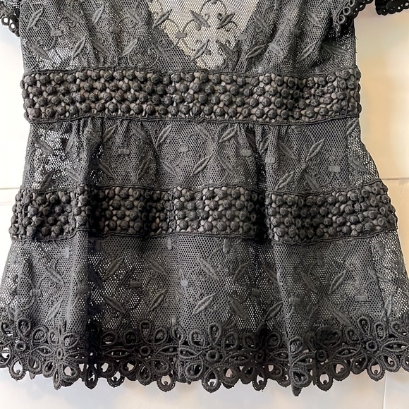 Nanette Lepore Lace Embroidered Sheer Top - Picture 4 of 10